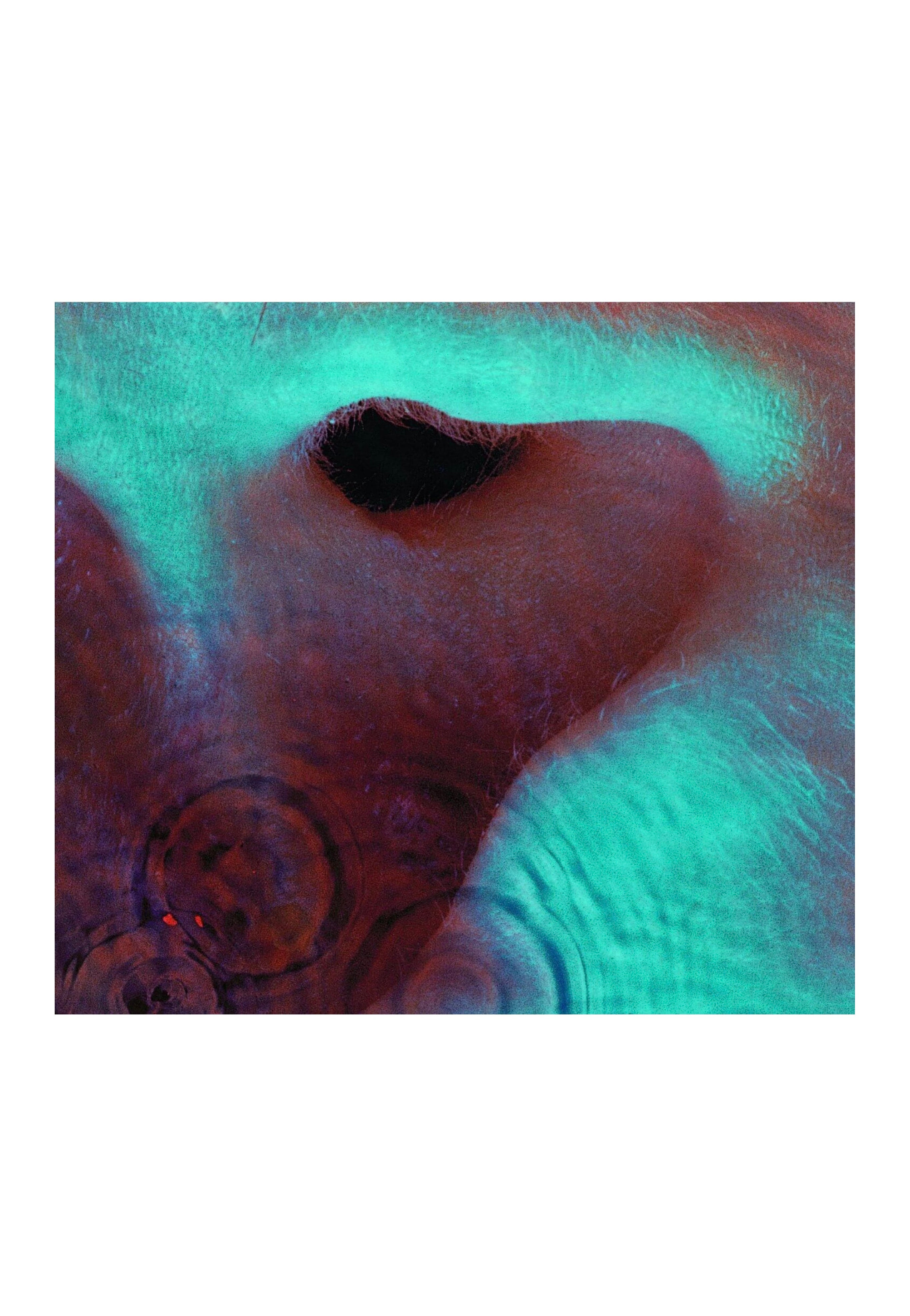 Pink Floyd - Meddle (Remastered) - CD | Neutral-Image
