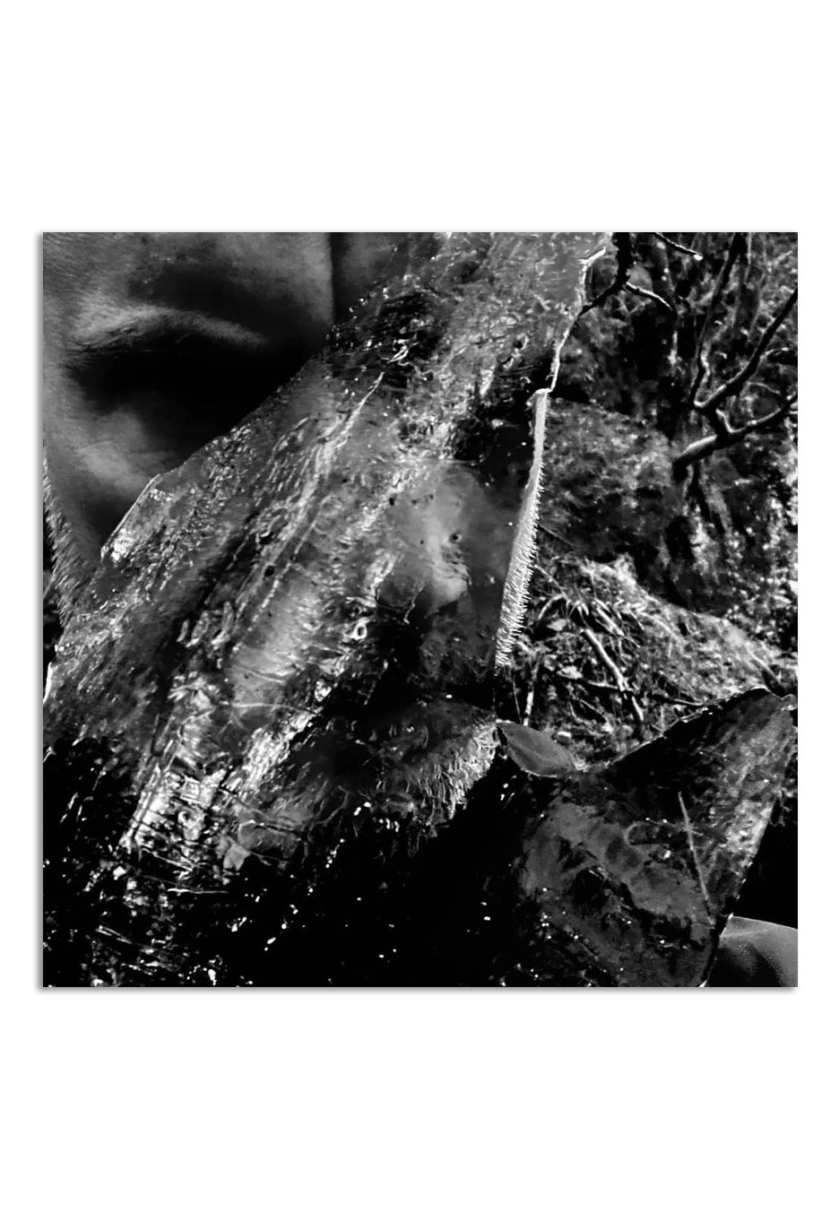 Taake - En Skog Av Nidstang - CD | Neutral-Image